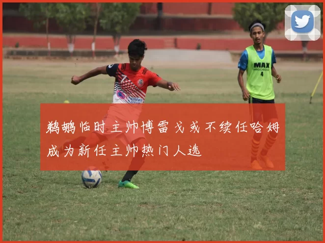 鹈鹕临时主帅博雷戈或不续任哈姆成为新任主帅热门人选