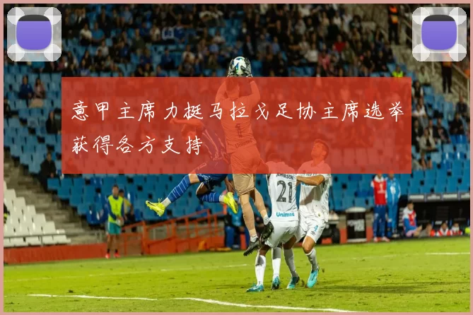 意甲主席力挺马拉戈足协主席选举获得各方支持