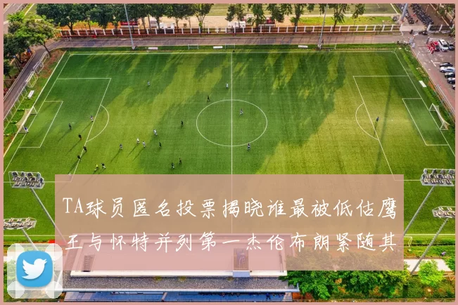 TA球员匿名投票揭晓谁最被低估鹰王与怀特并列第一杰伦布朗紧随其后