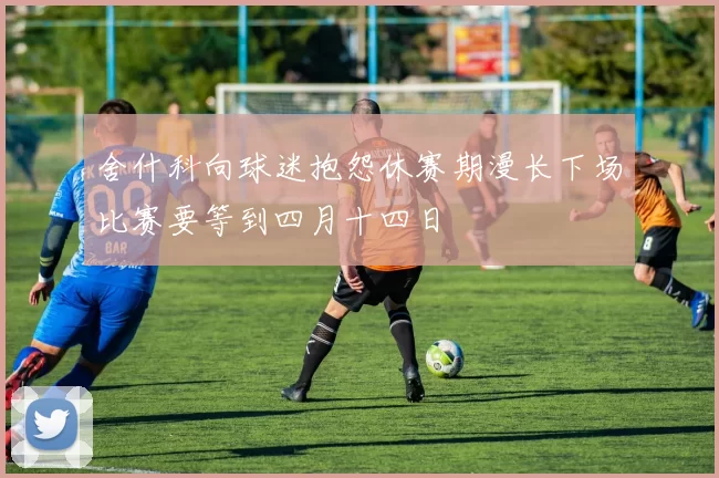 舍什科向球迷抱怨休赛期漫长下场比赛要等到四月十四日