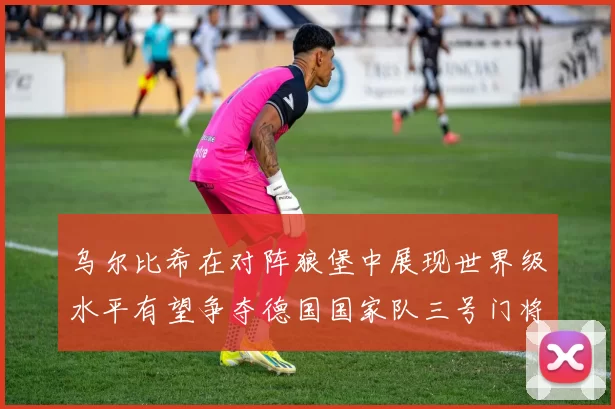 乌尔比希在对阵狼堡中展现世界级水平有望争夺德国国家队三号门将位置